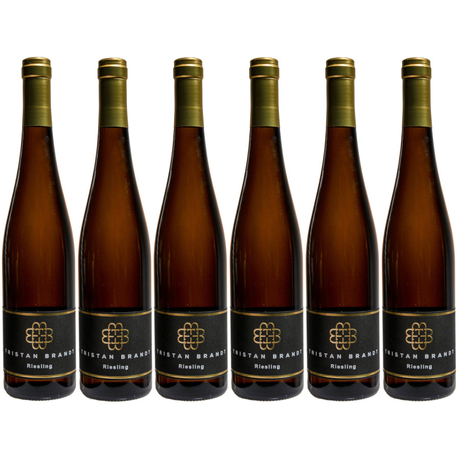 Weingut Faubel: Riesling Kostbar "Edition Tristan Brandt" 6 Flaschen