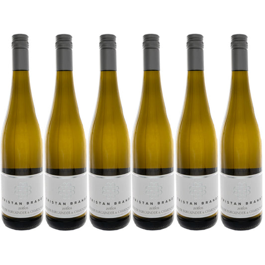 Weingut Faubel: Weisser Burgunder & Chardonnay Zeitlos "Edition Tristan Brandt" 6 Flaschen