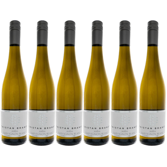 Weingut Faubel: Sauvignon Blanc Zeitlos "Edition Tristan Brandt" 6 Flaschen